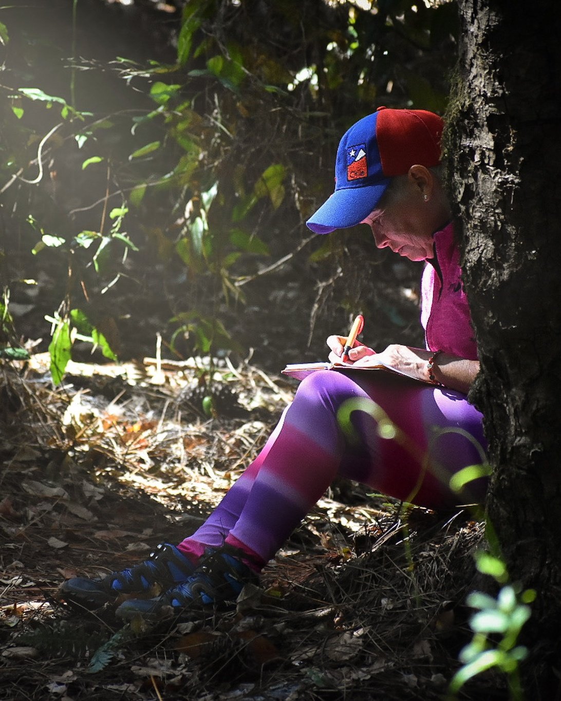 El camino de transformación en la naturaleza